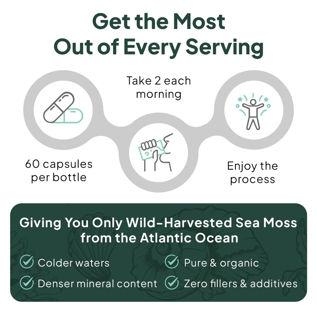 Flacon de Capsules de Mousse de Mer Bio Organics Ocean avec vue rapprochée de l'étiquette