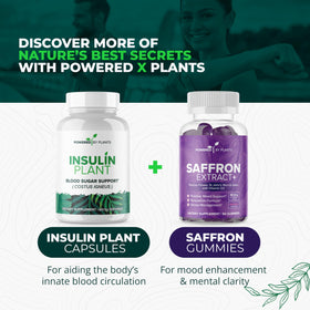 Flacon de capsules de plantes insuline avec dosage quotidien