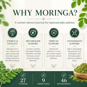 Flacon de capsules Moringa avec une main tenant une capsule
