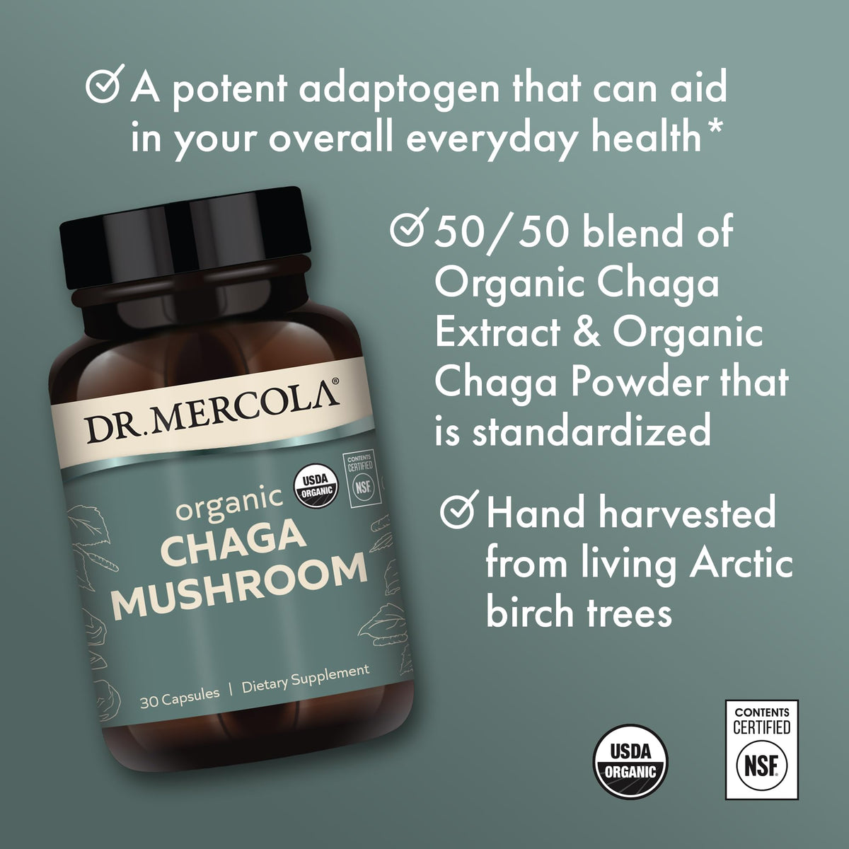 Flacon de Champignon Chaga Bio Dr. Mercola avec étiquette