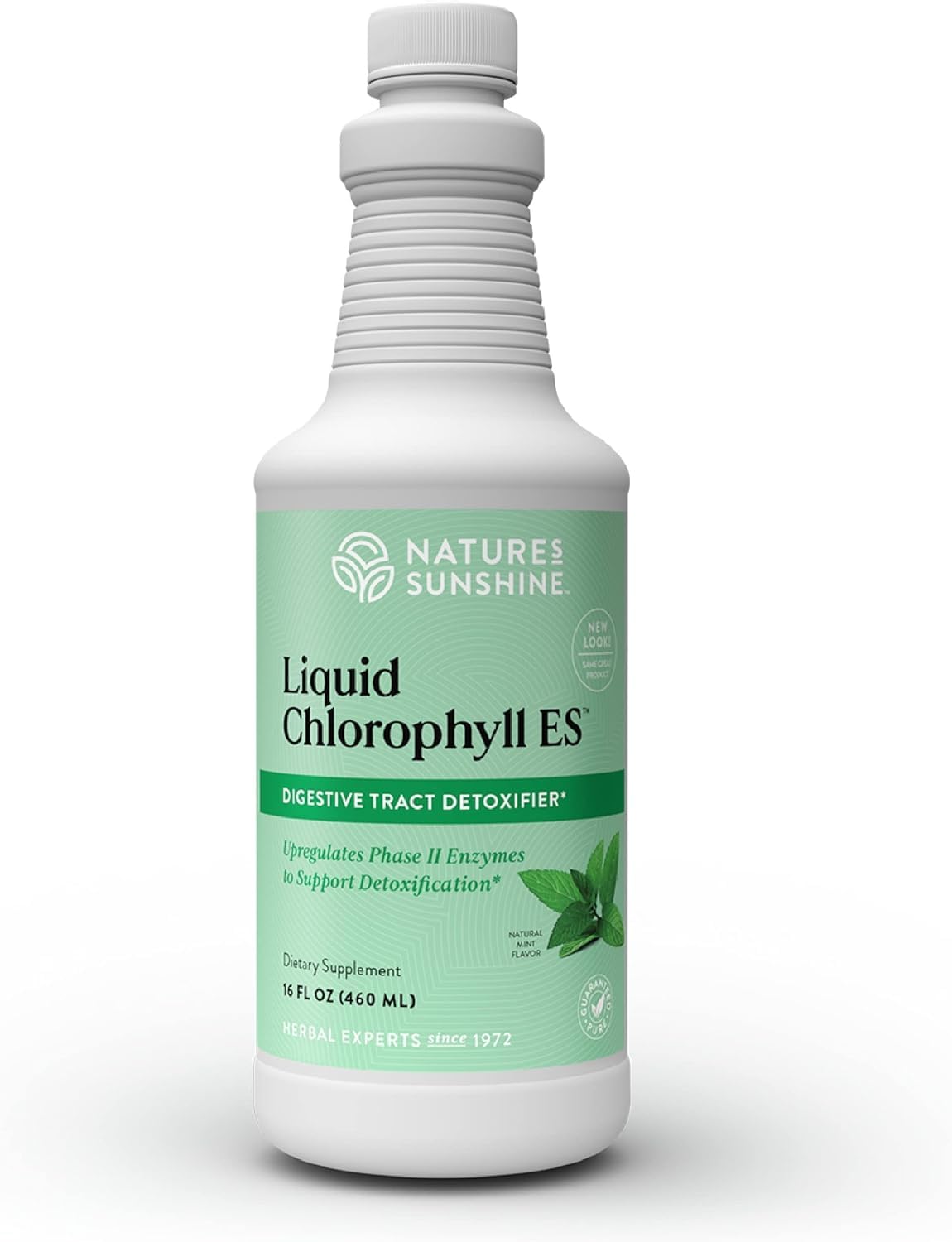 Flacon de chlorophylle liquide Nature's Sunshine 16 Fl Oz vue avant