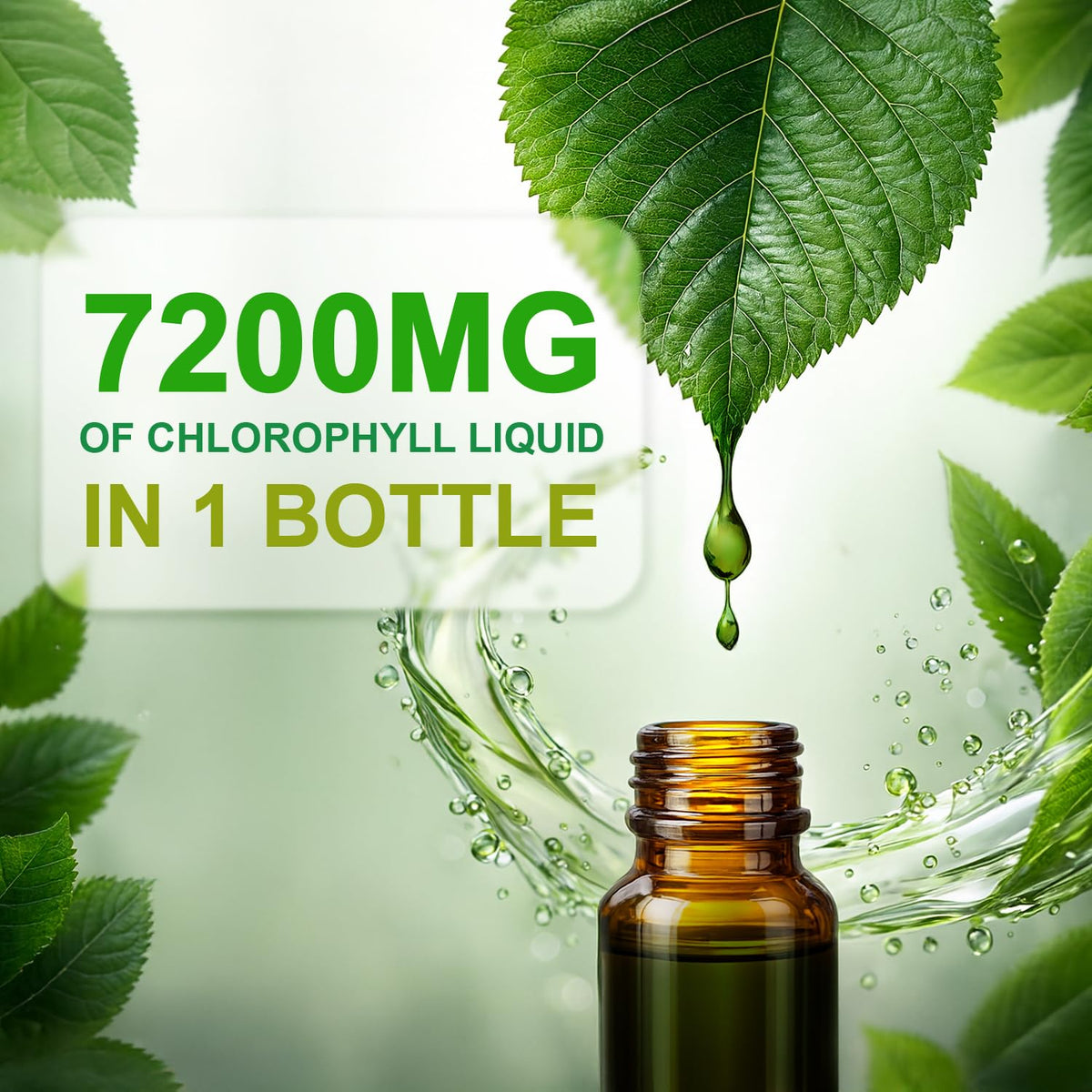Flacon de chlorophylle LOVITA avec étiquette et dosage