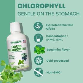 Flacon de chlorophylle sur un fond naturel avec des feuilles
