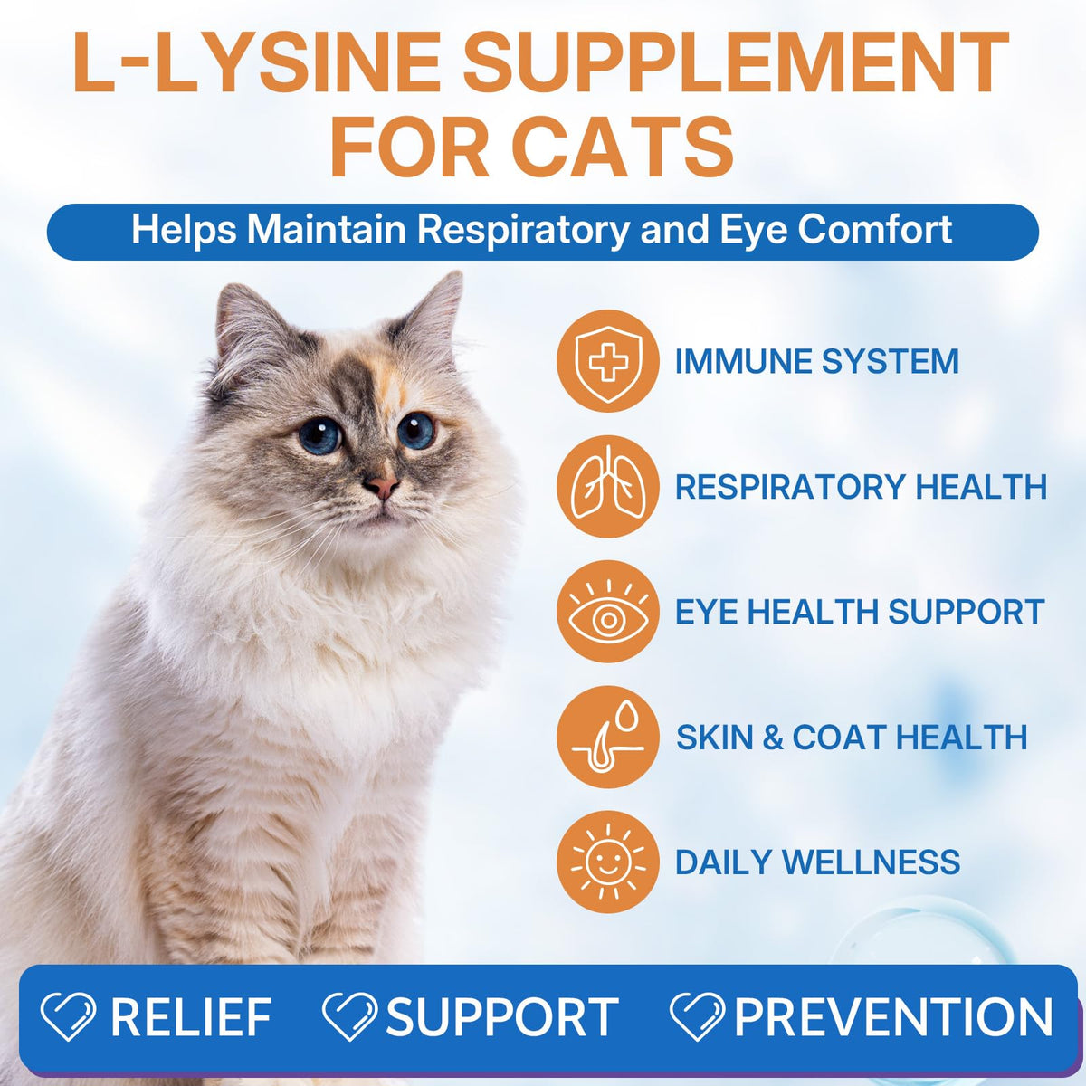 Flacon de complément L-Lysine pour chats 60ml avec bouchon