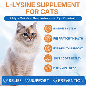 Flacon de complément L-Lysine pour chats 60ml avec bouchon