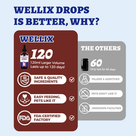 Flacon de complément liquide au fer Wellix, étiquette visible