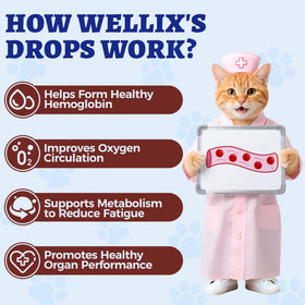 Flacon de complément Wellix au fer avec arrière-plan naturel