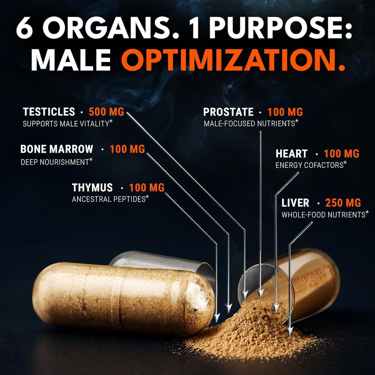 Flacon de Complexe de Glandes de Boeuf IRONCLAD NUTRITION avec capsules à côté