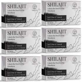 Flacon de comprimés de Shilajit ORBILIVE 1000 mg, 360 comprimés