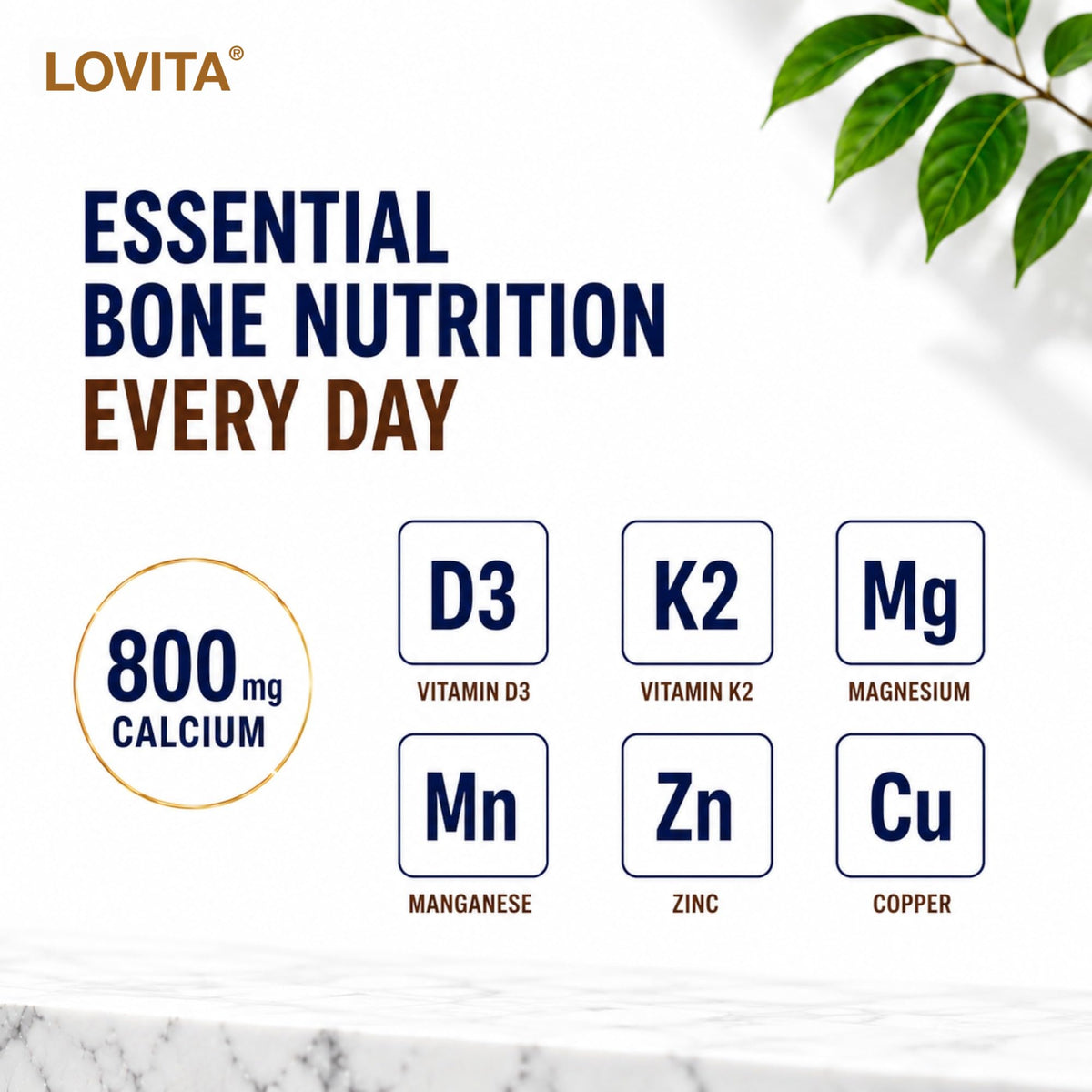 Flacon de comprimés LOVITA Citrate de Calcium avec les dimensions