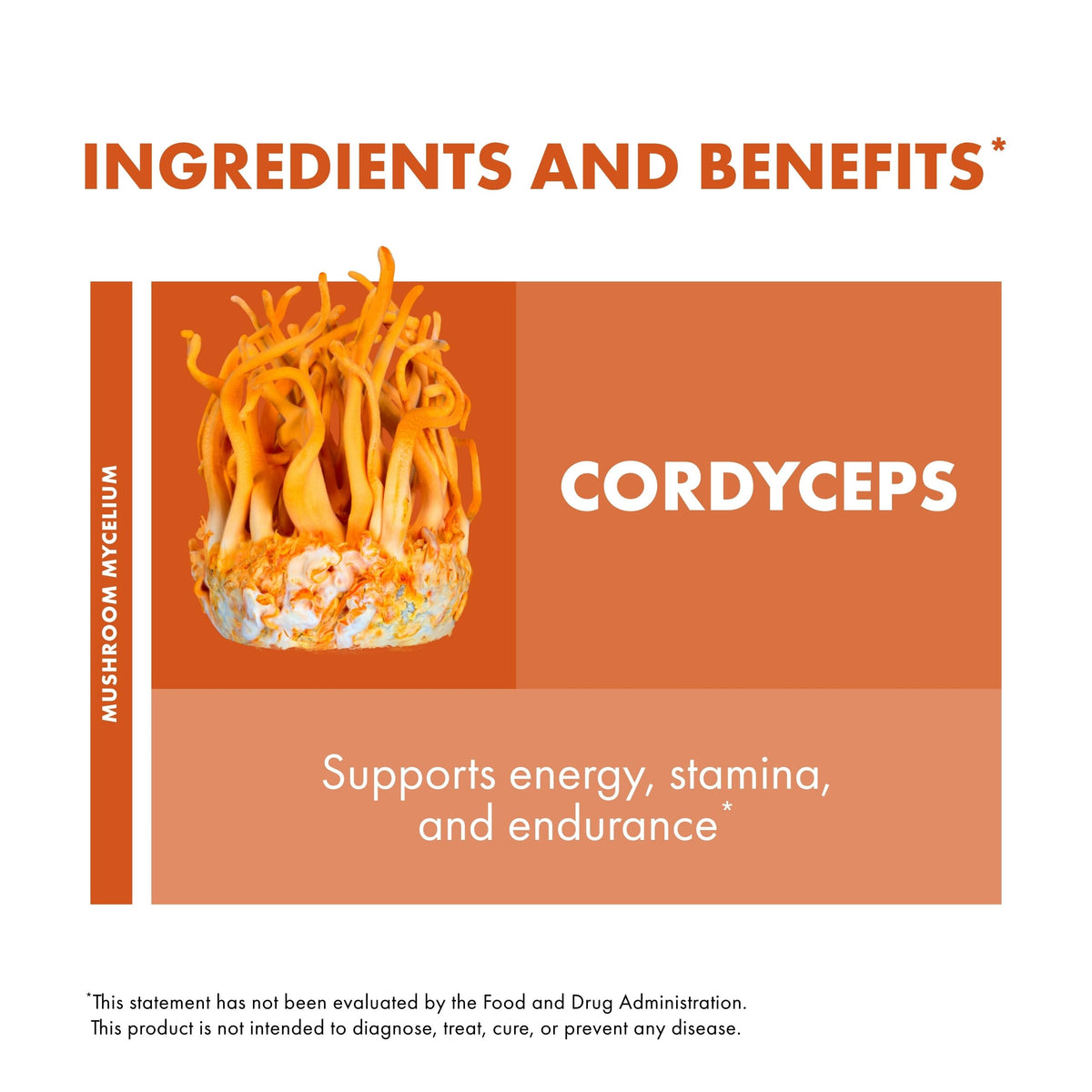 Flacon de Cordyceps Host Defense avec arrière-plan naturel