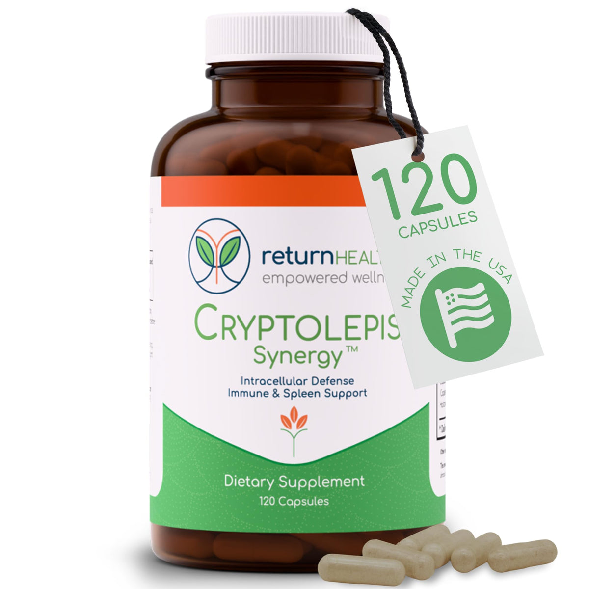 Flacon de Cryptolepis Synergy Return Healthy 120 capsules vue de face