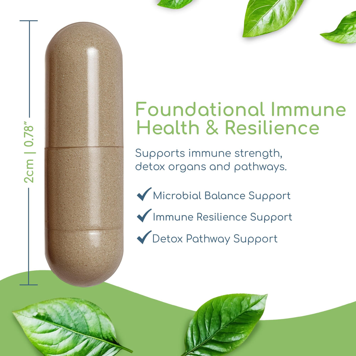Flacon de Cryptolepis Synergy Return Healthy avec étiquette visible