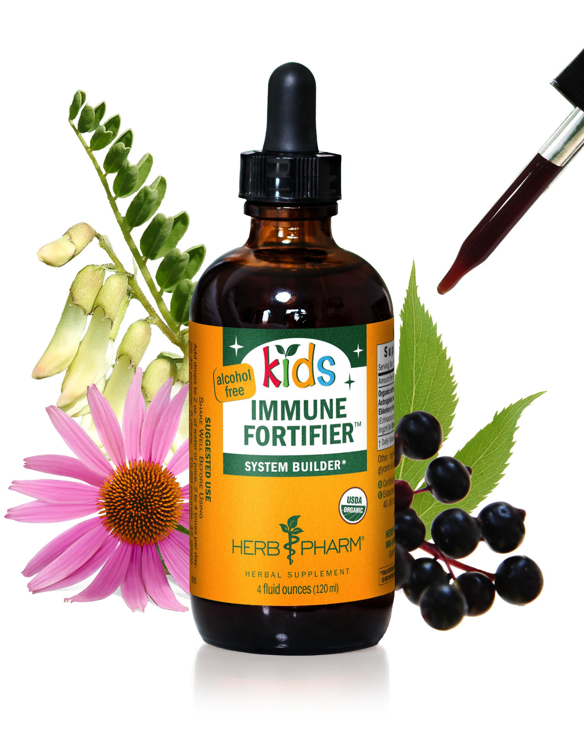 Flacon de Fortifiant daily wellness Enfant Herb Pharm 118 ml