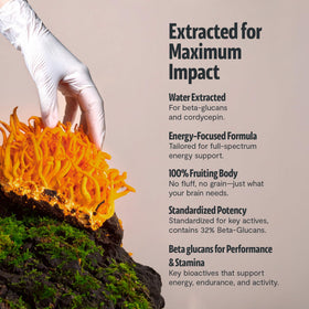 Flacon de FreshCap Mushrooms Cordyceps avec étiquette visible