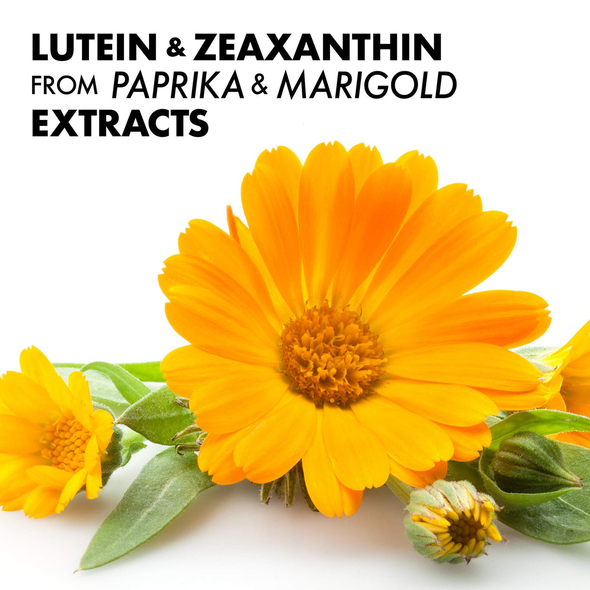 Flacon de gélules BlueBonnet Zeaxanthin & Lutein ouvert