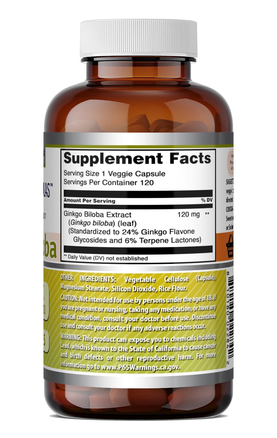Flacon de Ginkgo Biloba 120 mg Amazing Nutrition accompagné d'une plante