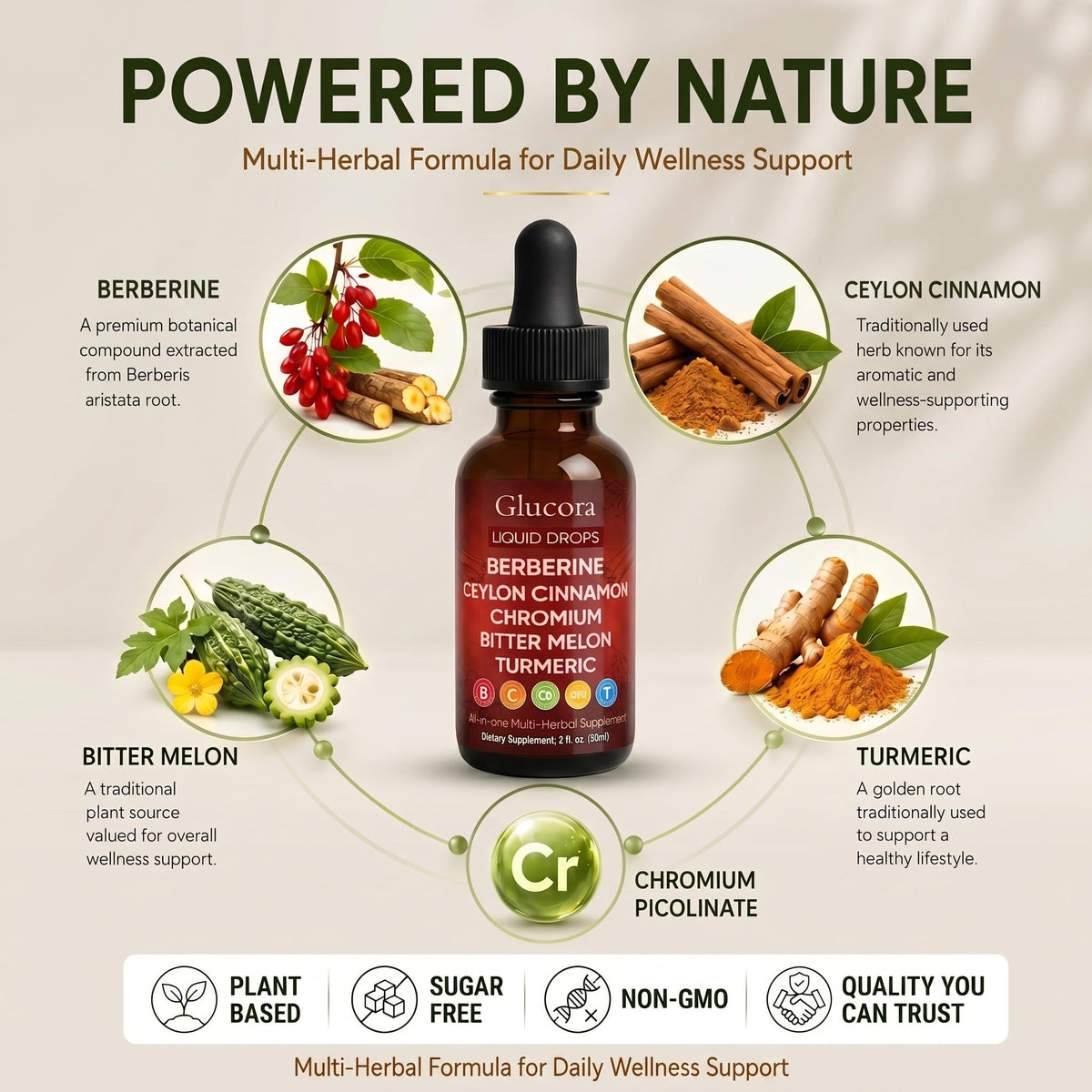 Flacon de Glucora Berberina Liquide AMOQUCT avec gouttes sur une table