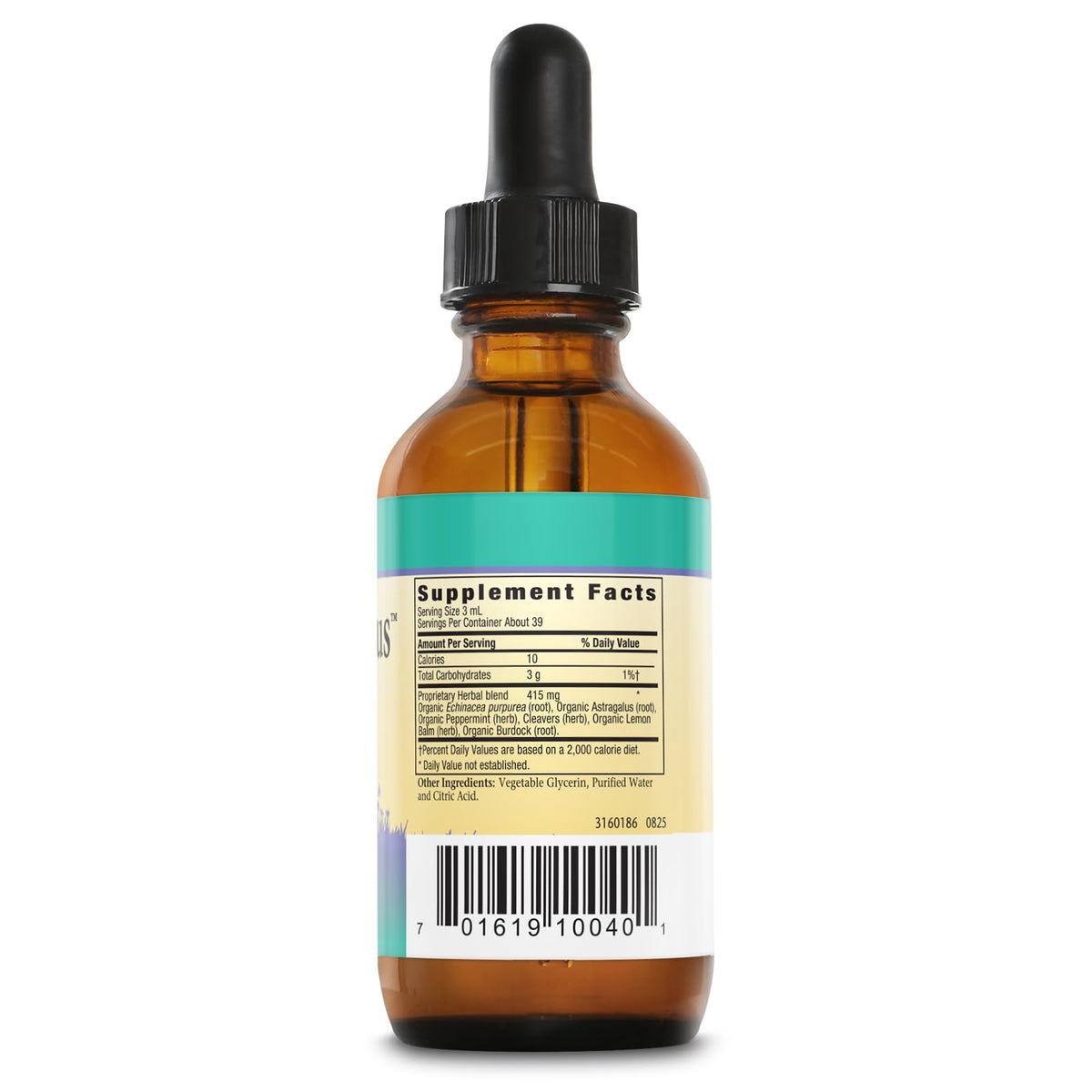 Flacon de gouttes d'échinacée sans alcool Herbs For Kids 4oz
