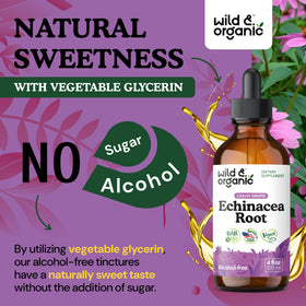 Flacon de gouttes d'échinacée Wild & Organic avec une vue de côté