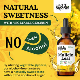 Flacon de gouttes de mullein Wild & Organic sur une table en bois