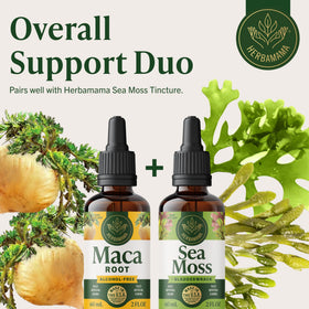 Flacon de gouttes de racine de Maca HERBAMAMA avec ingrédients