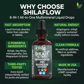 Flacon de gouttes de Shilajit avec une vue d'ensemble des ingrédients