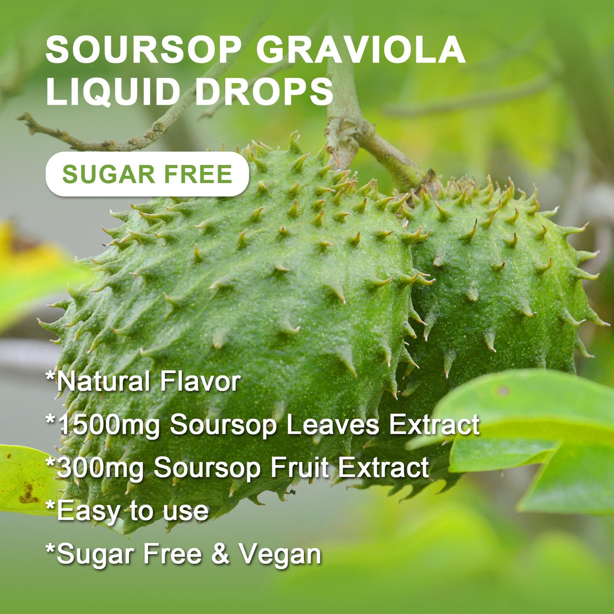 Flacon de Graviola Soursop avec arrière-plan naturel