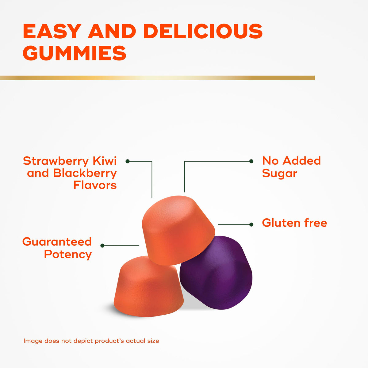 Flacon de Gummies Align Probiotiques + Fibres ouvert