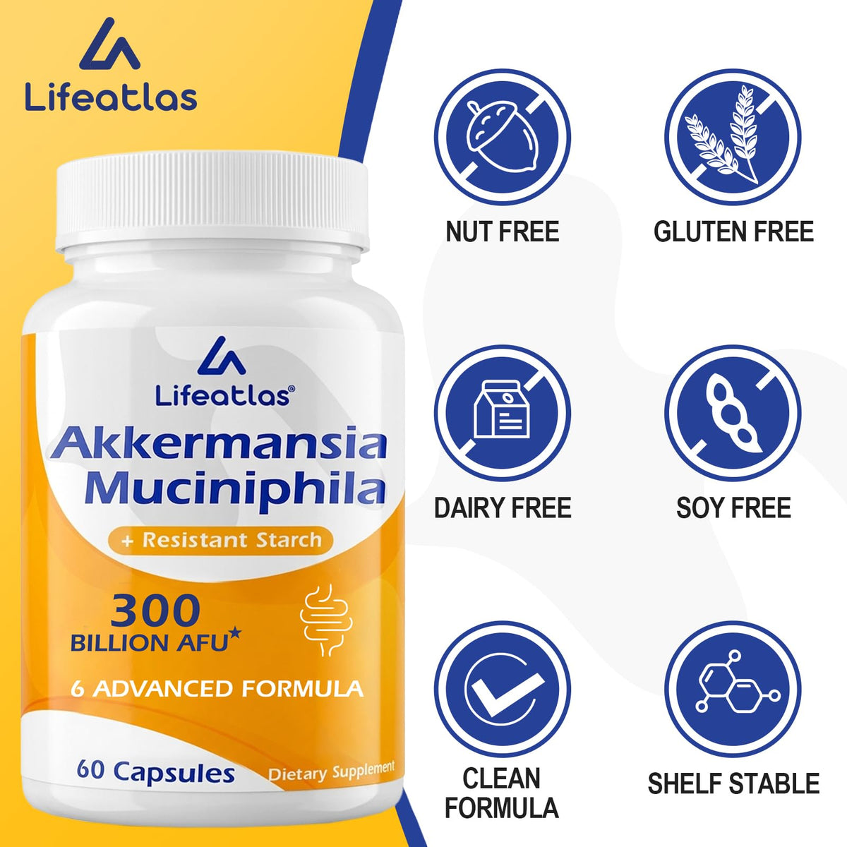 Flacon de Lifeatlas Akkermansia avec capsules à côté