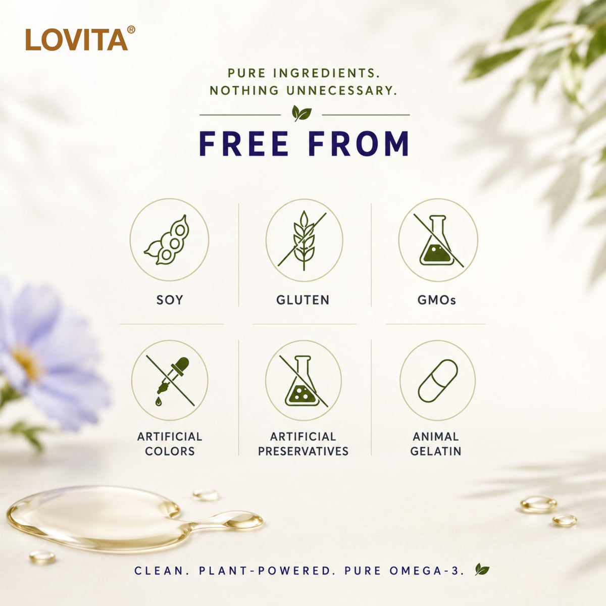 Flacon de LOVITA Huile de Lin Végétale sur fond blanc