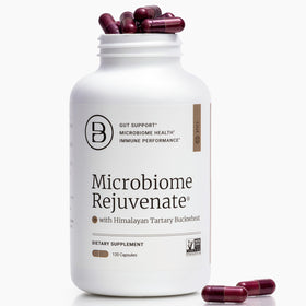 Flacon de Microbiome Rejuvenate BIG BOLD HEALTH avec 120 capsules