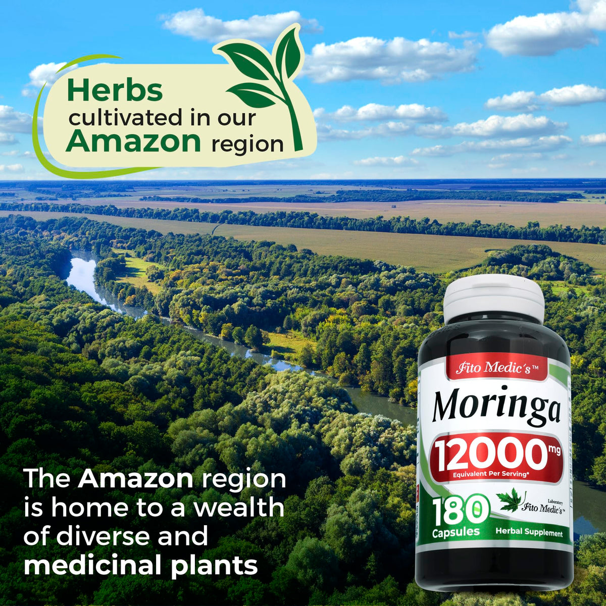 Flacon de moringa avec étiquette détaillant les ingrédients