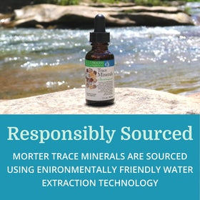 Flacon de Morter Trace Minerals sur une table en bois