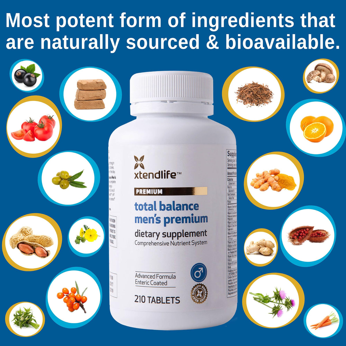 Flacon de multivitamine Xtendlife pour hommes, dimensions du produit