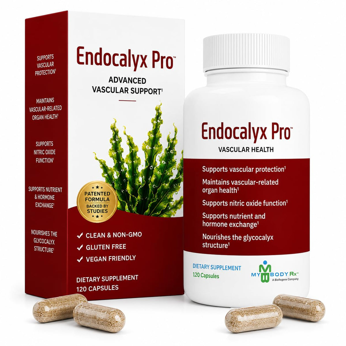 Flacon de MYBODYRX Endocalyx Pro 120 capsules vue de face