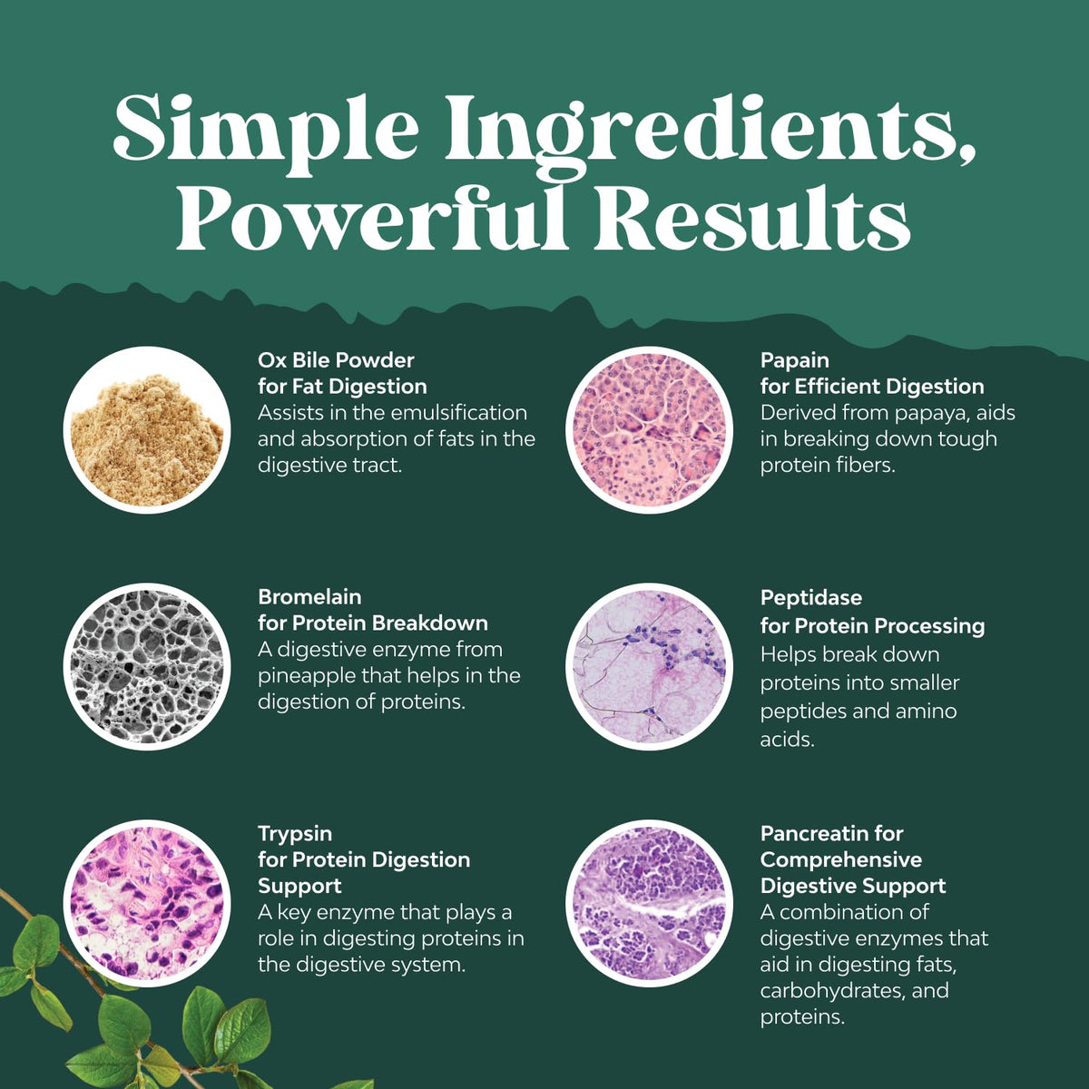 Flacon de Natures Craft Multi-Enzymes ouvert avec capsules visibles