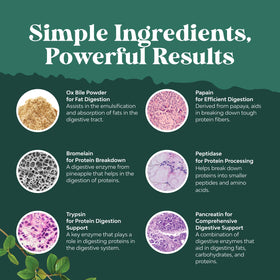 Flacon de Natures Craft Multi-Enzymes ouvert avec capsules visibles