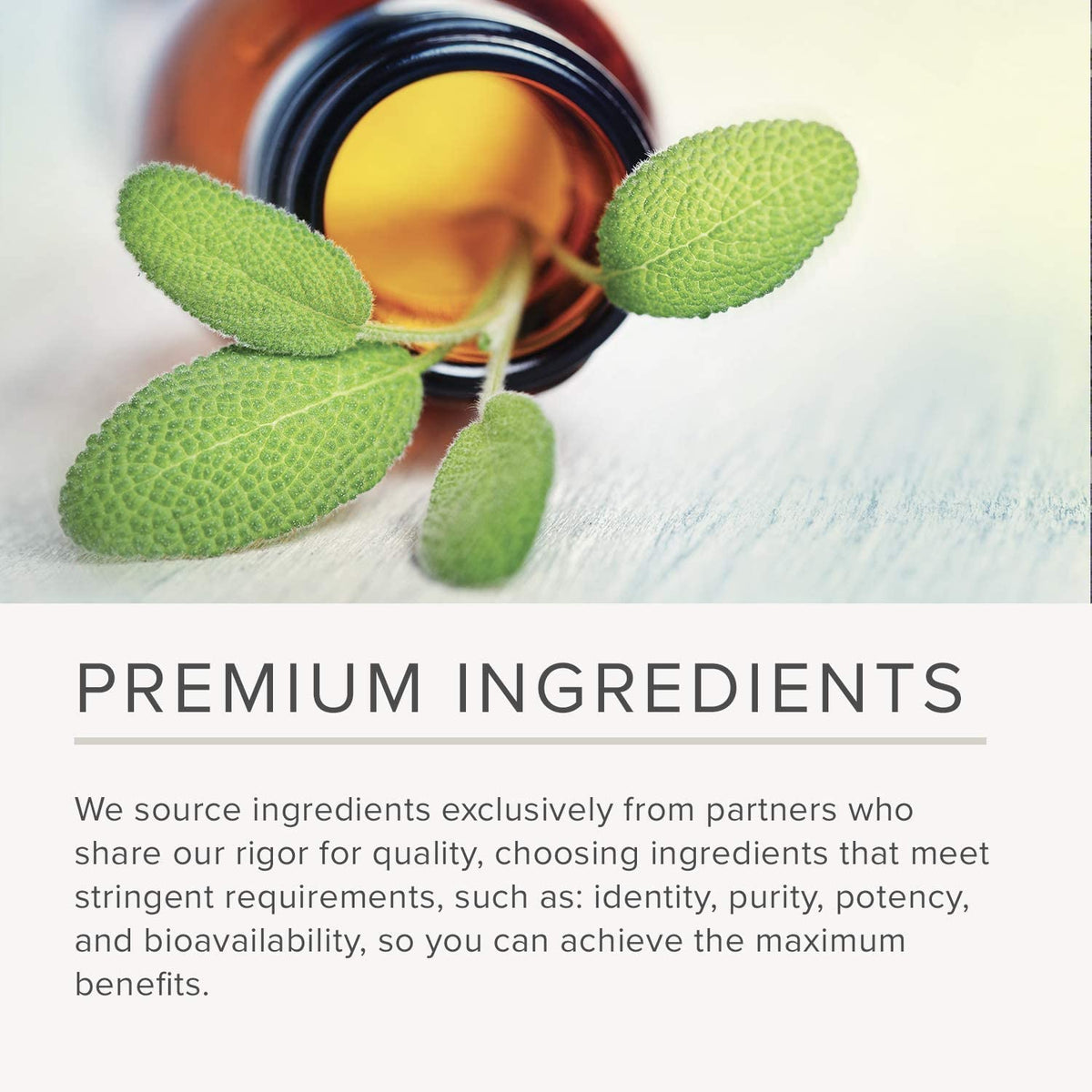 Flacon de NusaPure Echinacea Purpurea ouvert avec capsules visibles