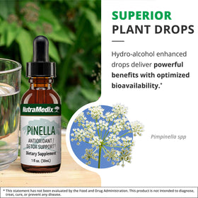 Flacon de Nutramedix Pinella avec fond neutre