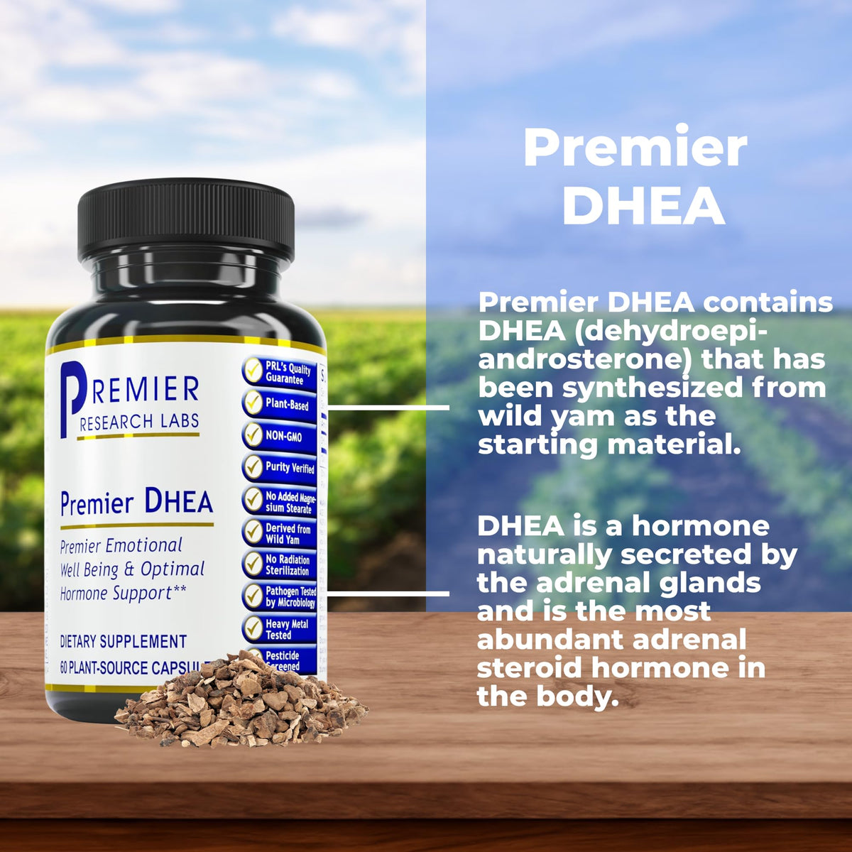 Flacon de Premier Research Labs DHEA avec étiquette visible