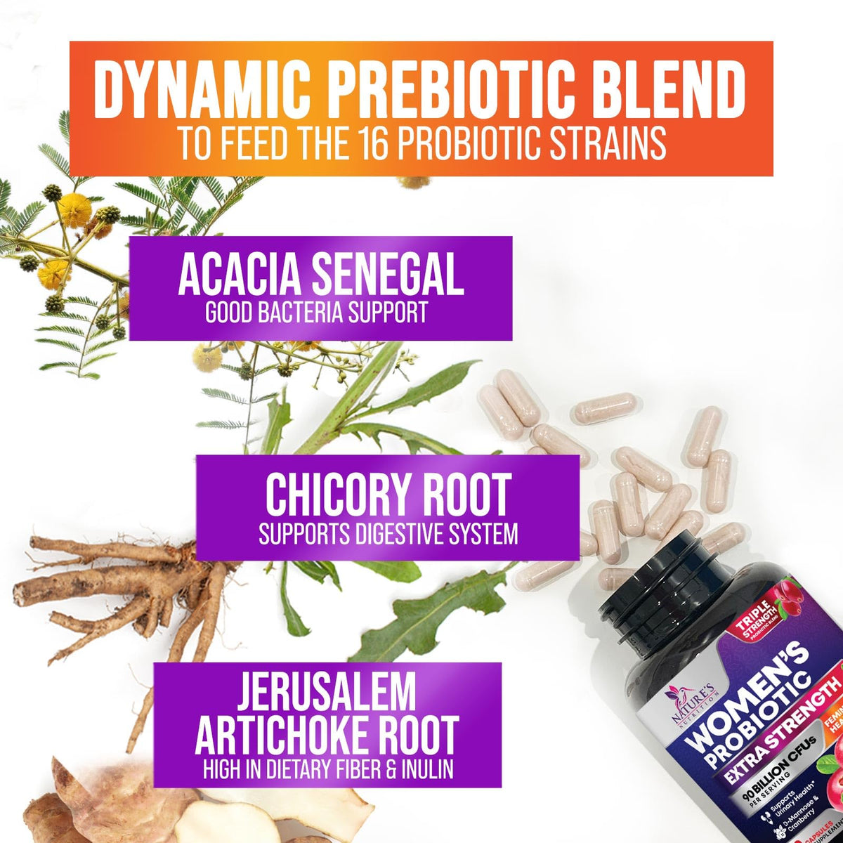 Flacon de probiotiques pour femmes avec cranberries
