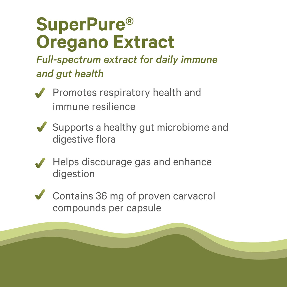 Flacon de PURE SYNERGY Extrait d'Origan Bio ouvert avec capsules