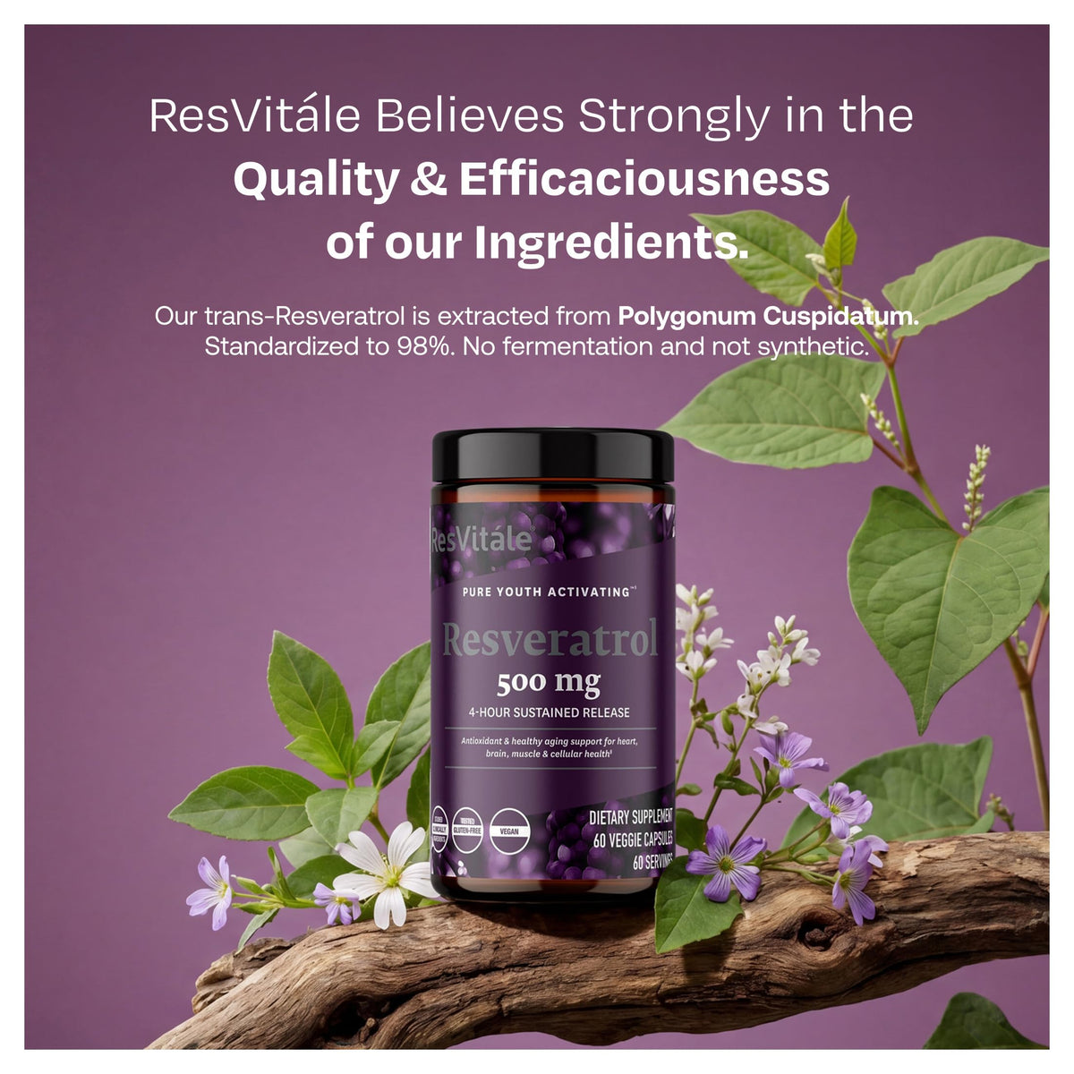 Flacon de ResVitale Resveratrol 500mg ouvert avec capsules visibles