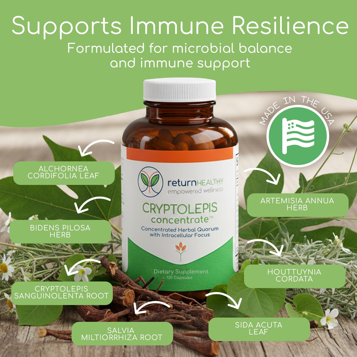 Flacon de Return Healthy Concentré de Cryptolepis avec capsules visibles