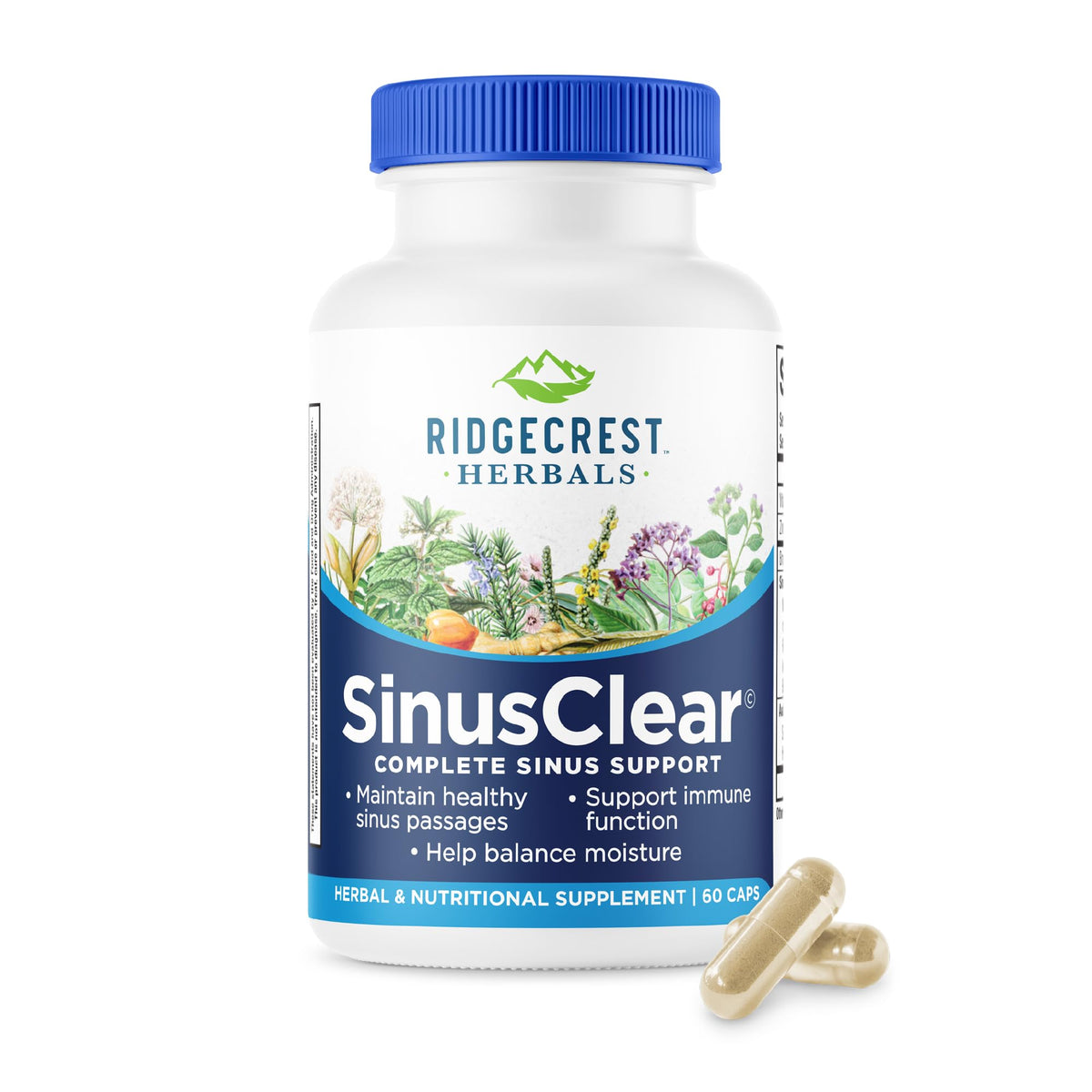 Flacon de RidgeCrest Herbals SinusClear 60 capsules vue de face