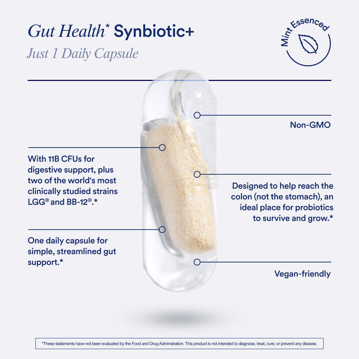Flacon de Ritual Synbiotic+ avec comprimé à la menthe à côté
