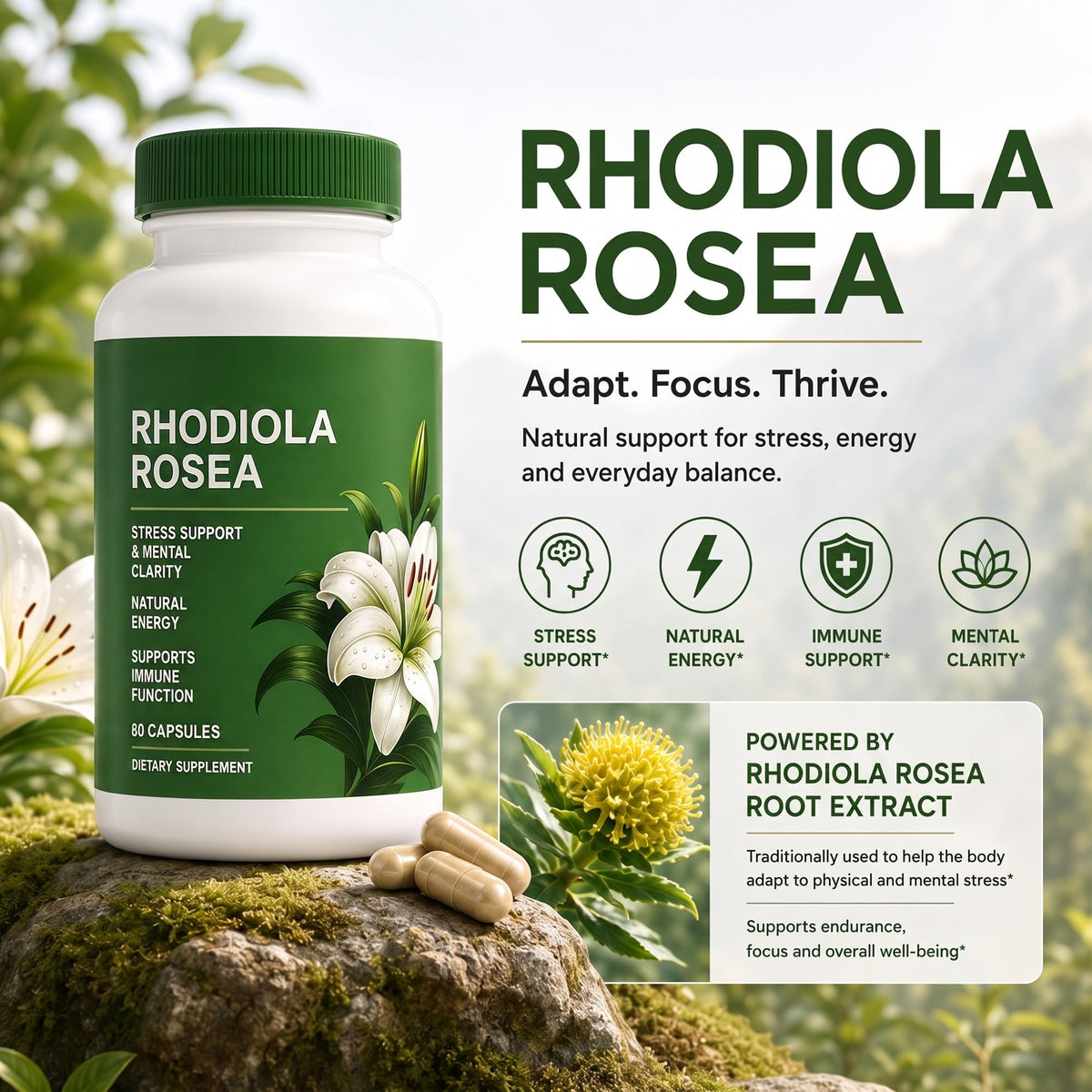 Flacon de Shileoo Rhodiola Rosea ouvert avec capsules