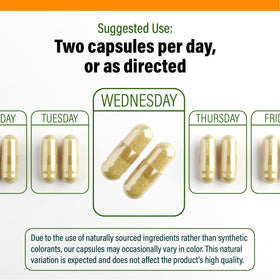 Flacon de Smart Nutra Labs Quercétine 1000mg avec capsules