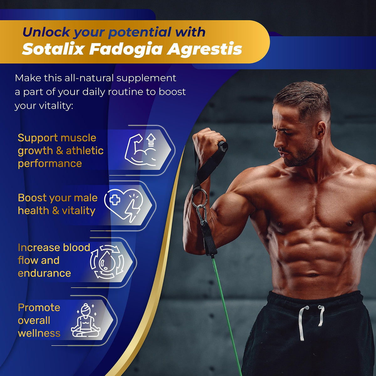 Flacon de SOTALIX SUPPLEMENT avec étiquette visible